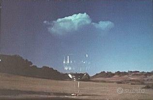 foto artistica la corda sensibile