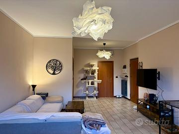 Quadrilocale Travagliato