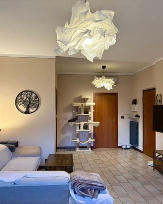 Quadrilocale Travagliato