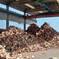 legna da ardere secca 