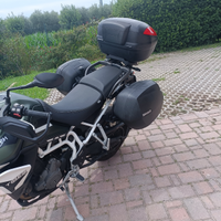 Triumph tiger 900 rally