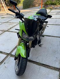 Kawasaki Z1000 - Anno 2005