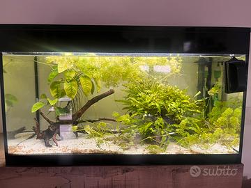 Acquario Askoll Pure XL 100l + Accessori