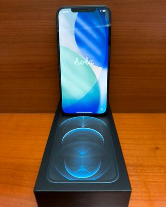 iPhone 12 Pro Max 256 gb