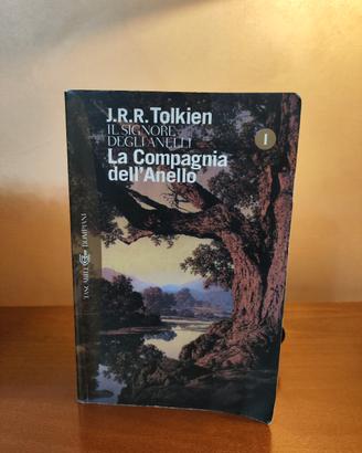 Il signore degli anelli -La compagnia dell'anello 
