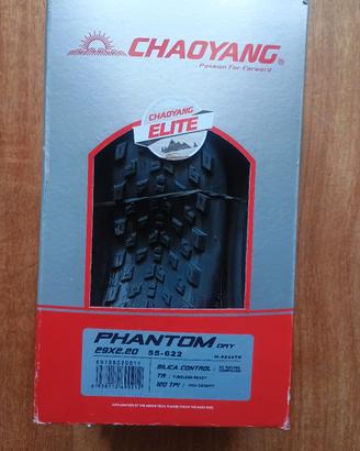 pneumatico MTB chaoyang