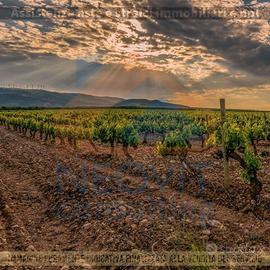 Terreno Agricolo a Saronno