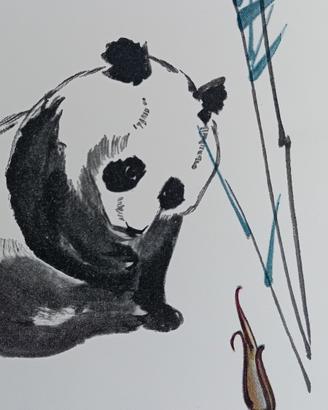 6 stampe giapponesi di animali rarissime 