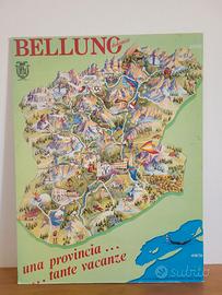 Mappa provincia Belluno