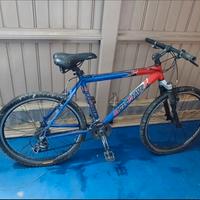 bici MTB 26 ciclo Piave 