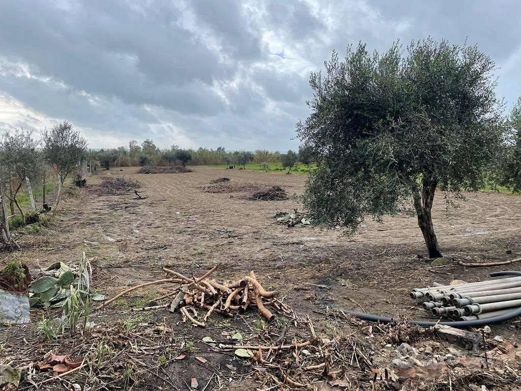 Terreno di 3550 m² a Mondragone - Vista 5