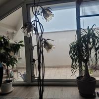 lampada da terra