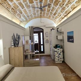 terrasini monolocale spina