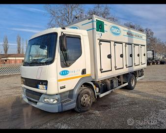 DAF - 45.180 FURGONE ISOTERMICO CON FRIGO