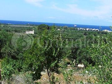 Terreno Agricolo Sannicola [95dogVRG]