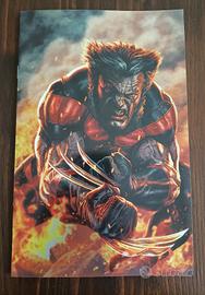Ultimate Wolverine #1 - Variant Panini Comics