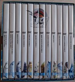 Dvd "Big Fish Adventures", video di pesca