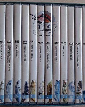 Dvd "Big Fish Adventures", video di pesca