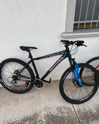 Mountain bike Carratt