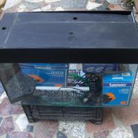Acquario 75 l con batteria filtrante interna