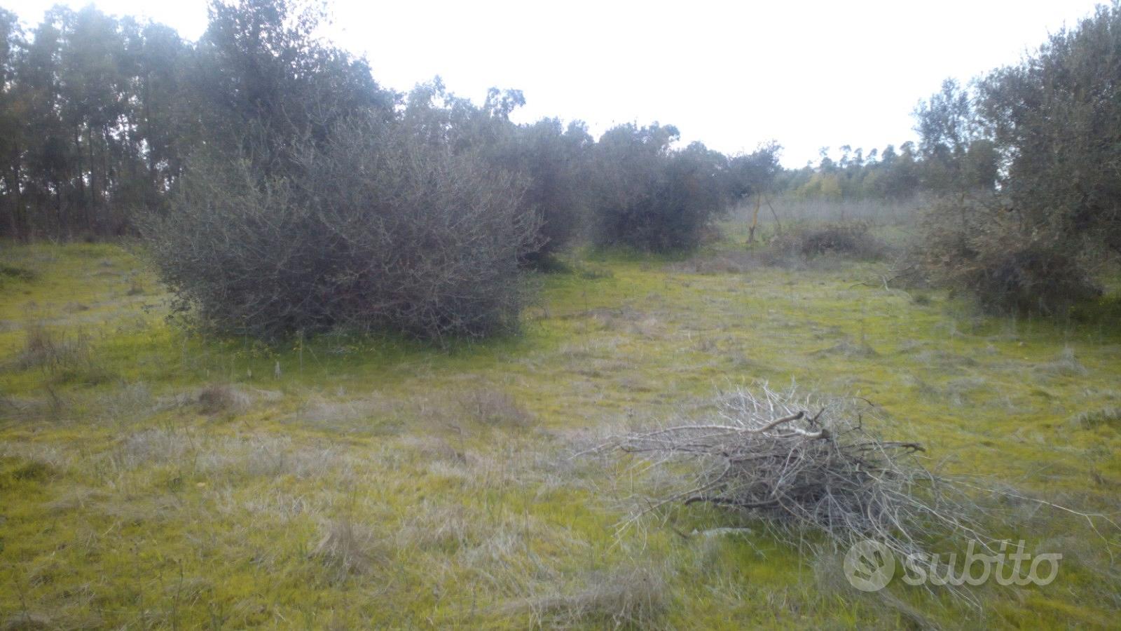 Monastir , terreno agricolo di 9100mq - Vista 5