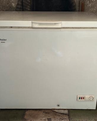 Pozzetto Congelatore Haier BD-203GAA
