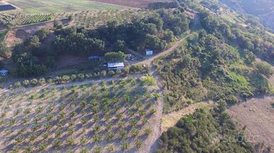 Locali 100 mq, garage in terreni