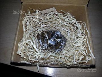 Pietra Pirite Nocciolata