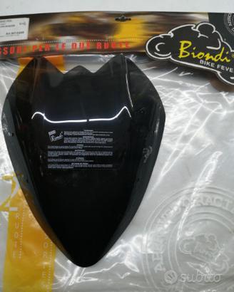 Cupolino kavasaki Z750