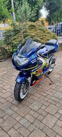 Suzuki Gsxr 2001 (600)