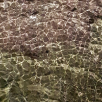 Casa a 100m dal mare