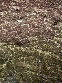 Casa a 100m dal mare