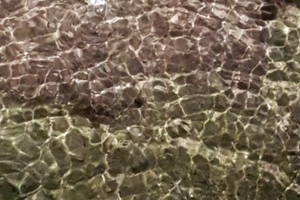 Casa a 100m dal mare