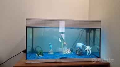 acquario
