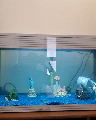 acquario