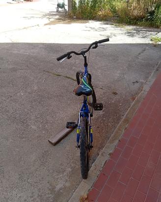 bicicletta Casadei VX 20 pollici 