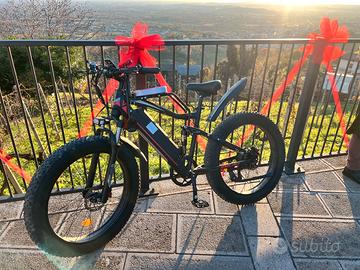 bicicletta elettrica