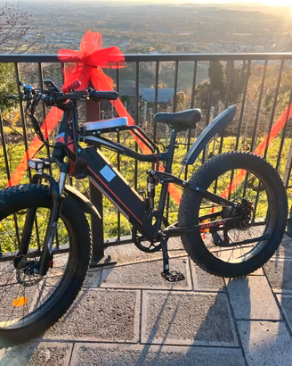 bicicletta elettrica