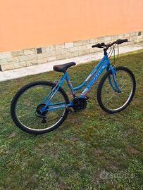 bicicletta da ragazza 