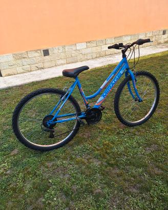 bicicletta da ragazza 