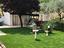 Immagine 16