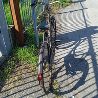 Bici