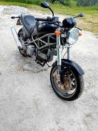 ducati Monster 803