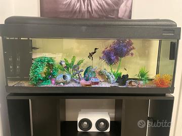ACQUARIO 100L
