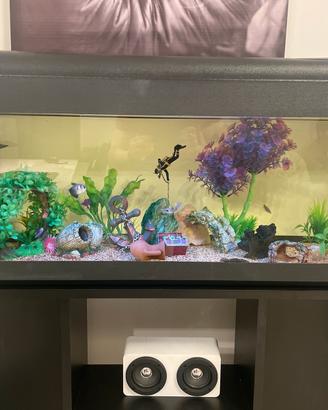 ACQUARIO 100L