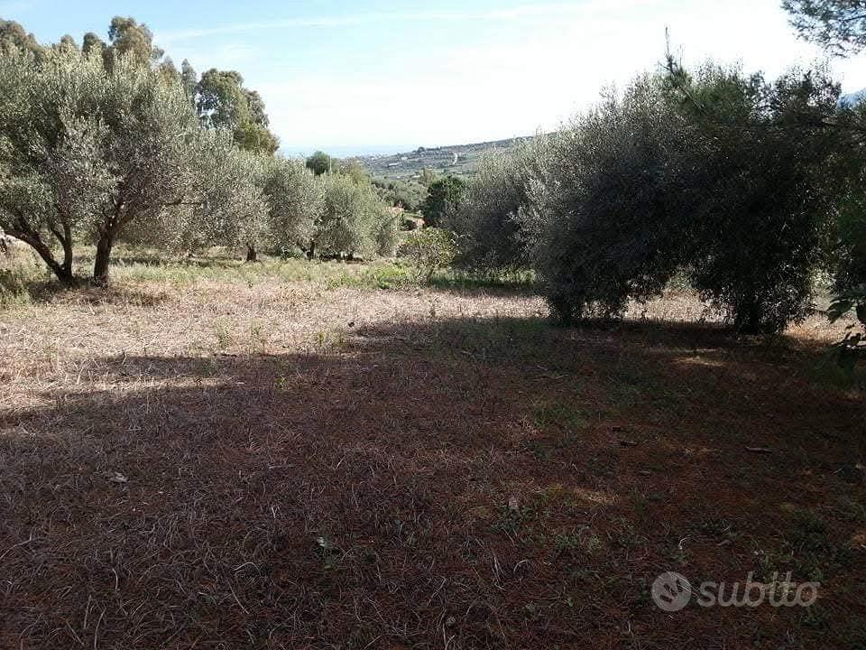 Terreno agricolo contrada laccia santa flavia - Vista 2