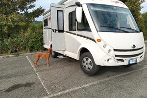 motorhome Carthago 141 compactline
