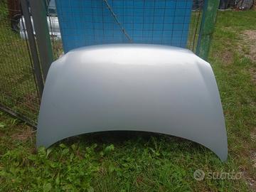 lotto cofano multipla