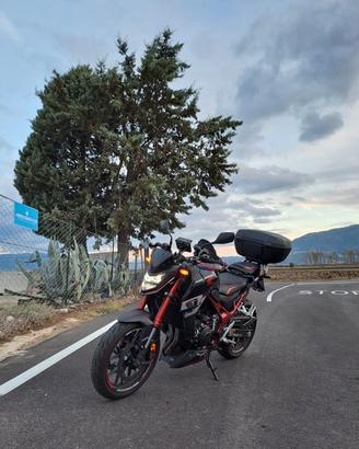 HONDA HORNET 750. (Luglio2023)
