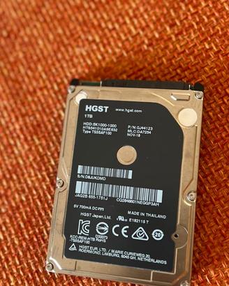 HARD DISK Interno HGST 1 Tera